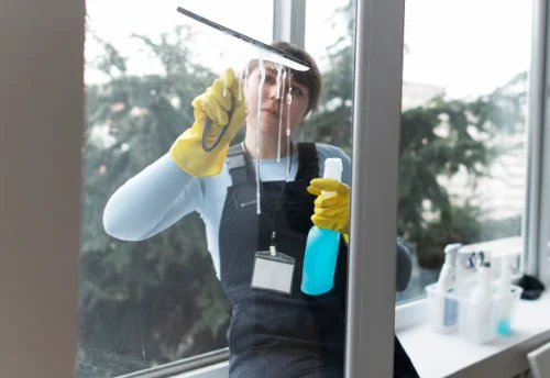 Nettoyage de vitres intérieures et extérieures à Saint-Just-Malmont